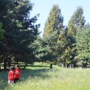 큰별자리어린이집 이미지