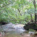 새소리펜션 이미지