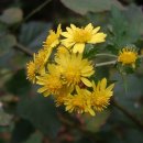 우면산6-13 이미지