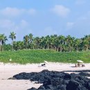 까망모래 이미지