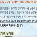 사직마디의원 이미지