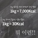 애플핏