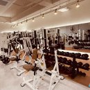 운동백서PT 이미지