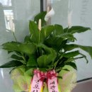 꿈마을작은도서관 이미지