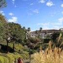 신창2 발전소 이미지