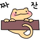 엘랩타일
