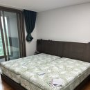 에이스침대분당스퀘어 | 에이스침대 로얄에이스 70s + 바론트 뱅가드월넛 후기