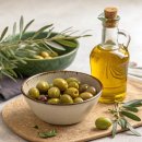 올리브독 이미지