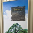 더원농경문화체험 | 보은 여행 보은 가볼만한 곳 농경문화관 (해설사 신청해서 방문한 후기)