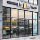 꼬모플레리 이미지