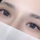 래쉬콩