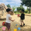 요한어린이집 네이버블로그