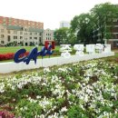 중앙대학교 사회복지대학원 이미지