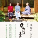 일일시호일 이미지