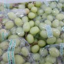 우아한과일 경희의료원점 이미지