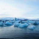 고래로L 이미지