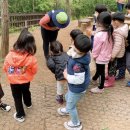 완산칠봉 유아숲체험원 이미지
