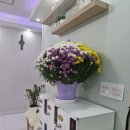 베스트 풋앤바디 이미지