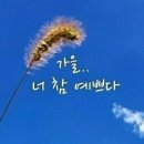 그냥예쁘다