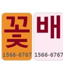 (주)코리아꽃도매 이미지