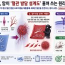 선우정보인쇄