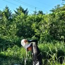 혜원네민박 이미지