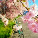 봄내음 재가방문요양센터 이미지