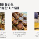 아워우스