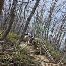 씨유궁동전원점 | [강원도1일2산] 두타산 댓재휴게소 최단코스 및 소요시간