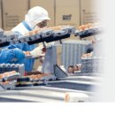 체크마트 이미지