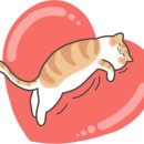 편하개 놀다가냥 이미지