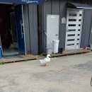 오덕뷔페식당