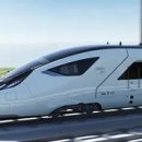 곰's 골프 이미지