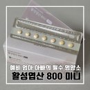 예비 엄마 아빠 임신 준비 영양제 활성 엽산 800미니 : 마미앤대디 임산부 활성 엽산 영양제