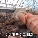 박준호농장 이미지