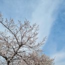 우두동 자전거도로 이미지