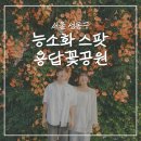 서울용답초등학교 | 서울 성동구 능소화 명소 용답꽃공원 주차 개화상태