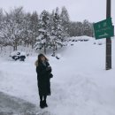 [삿포로 여행]19.01.03~01.06 ☃️ (2탄)/비에이 투어