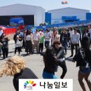완도상회 이미지