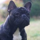 ZANYCAMP(재니캠프) 이미지