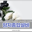 일신장의 이미지