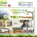 명품 오리