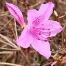 대우효령아파트 경로당 이미지