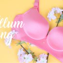 빈센트 핏 이미지