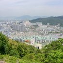 꽃마을로 이미지