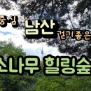 남산 소나무힐링숲길 이미지