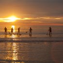 만리포니아 이미지