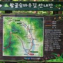 정선항골계곡숨바우길 이미지