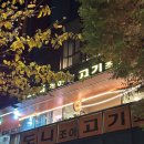 도니조아 이미지