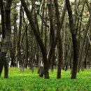 강변길 서천 이미지